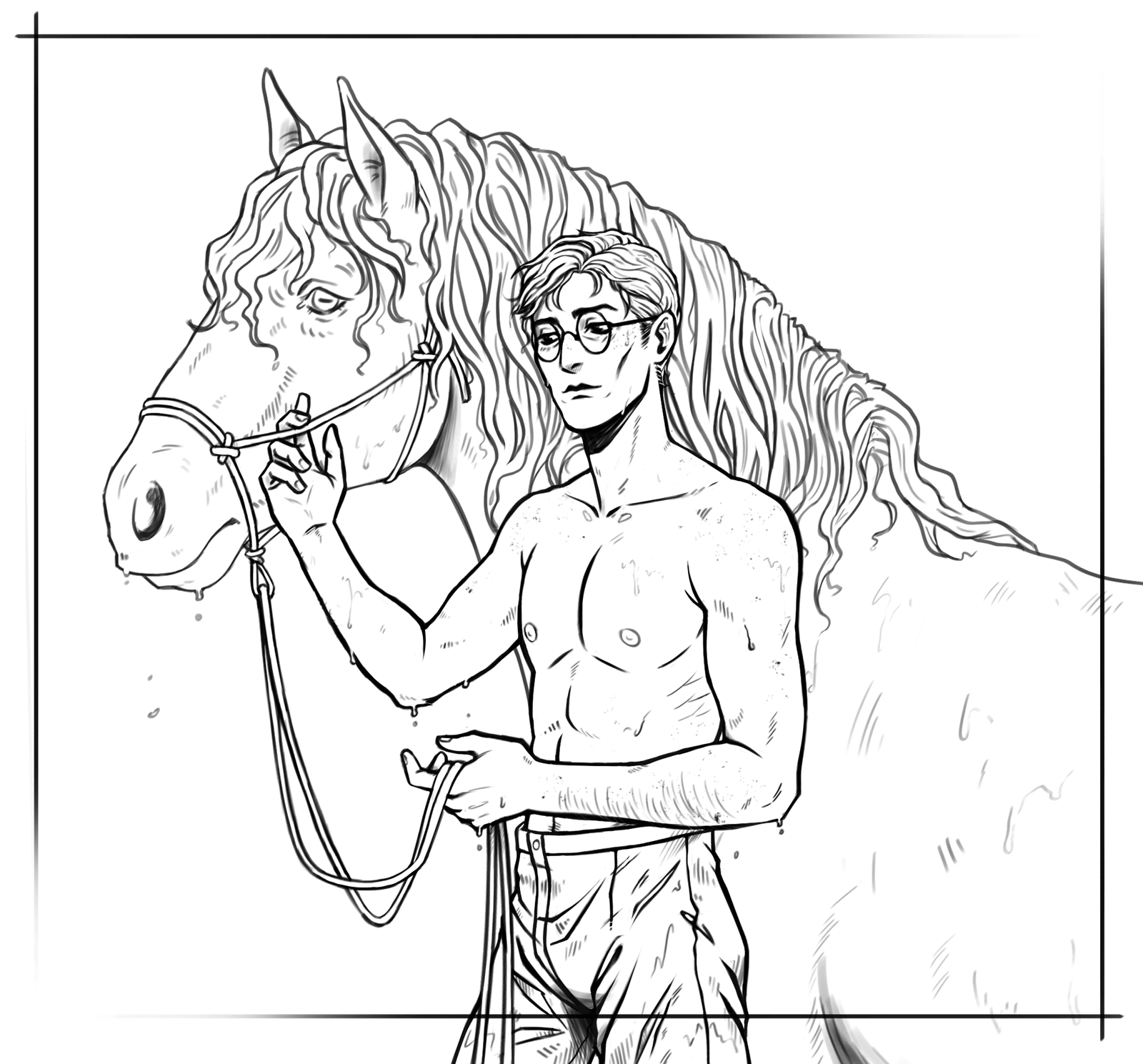Coc_Reg_Anselm_Horse